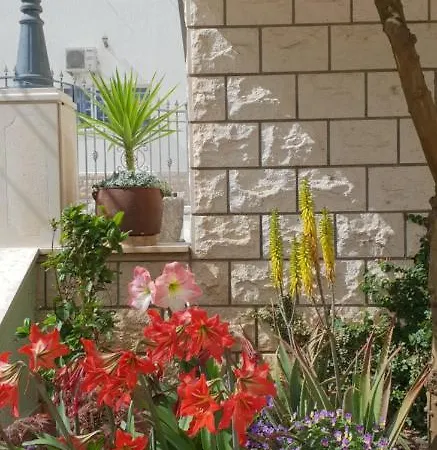 Anita Trogir